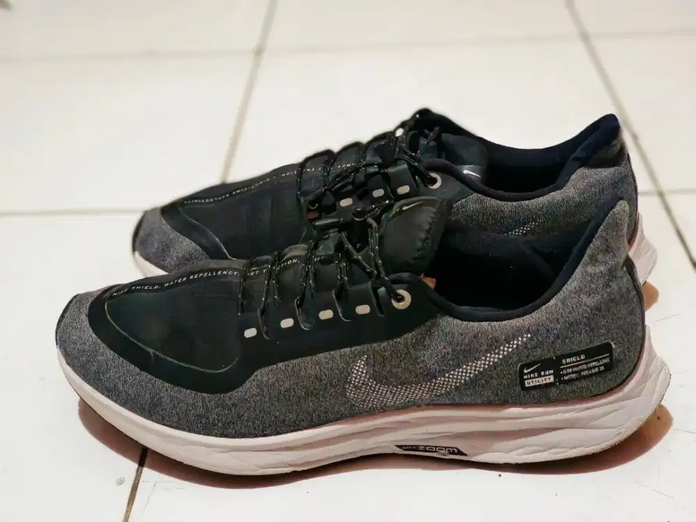 Sepatu Running Nike zoom pegasus sz 42,5