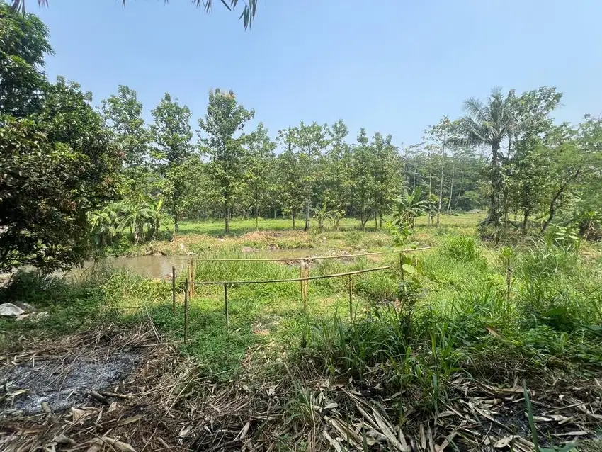Tanah Buat Perumahan Di Bojong Jengkol Ciampea