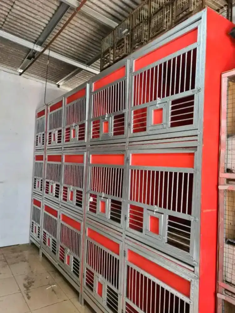 Tersedia berbagai macam kandang macan