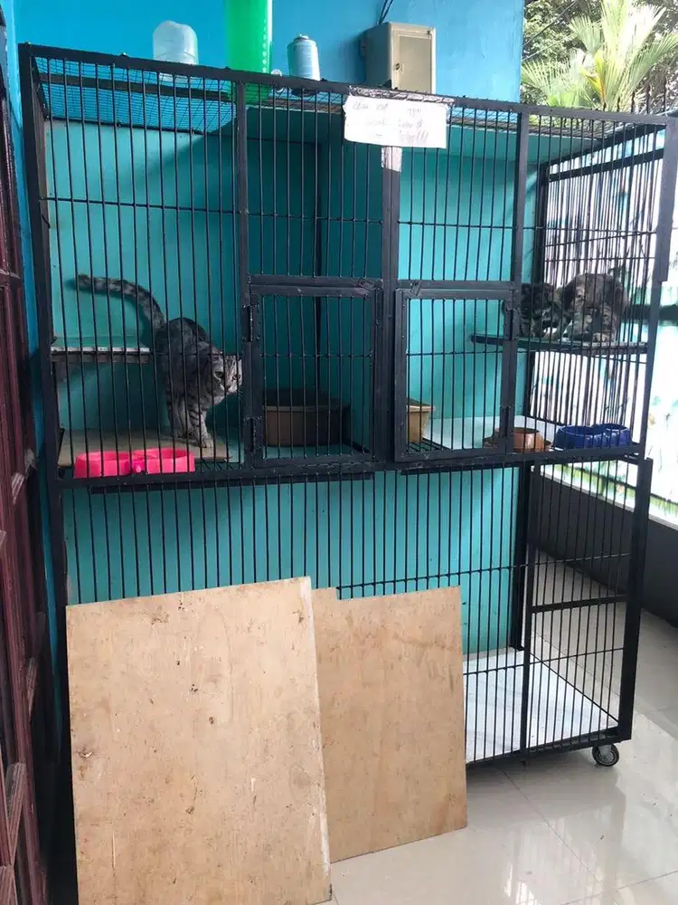 Kandang panjang 2m lebar 80cm tinggi 2m