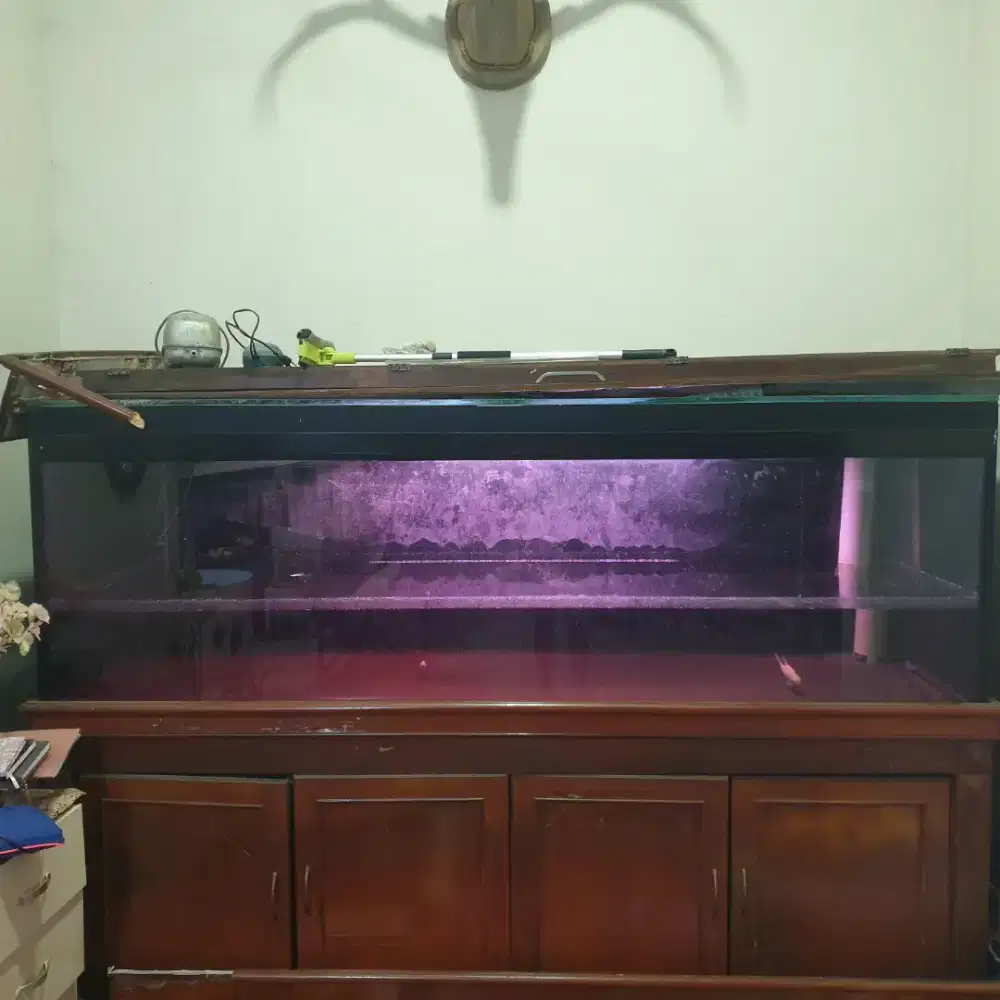 Jual aquarium arwana