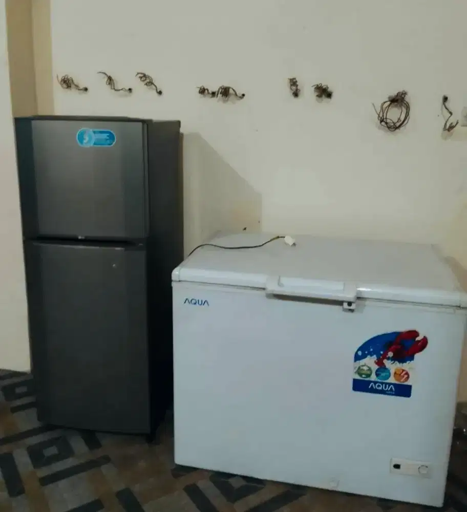 DIBELI KULKAS FREEZER SHOWCASE DLL