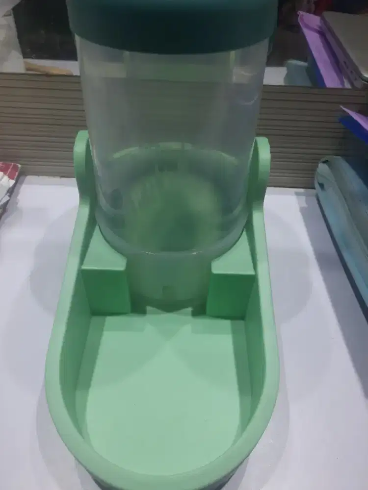 Tempat Makan Kucing Hijau  Muda