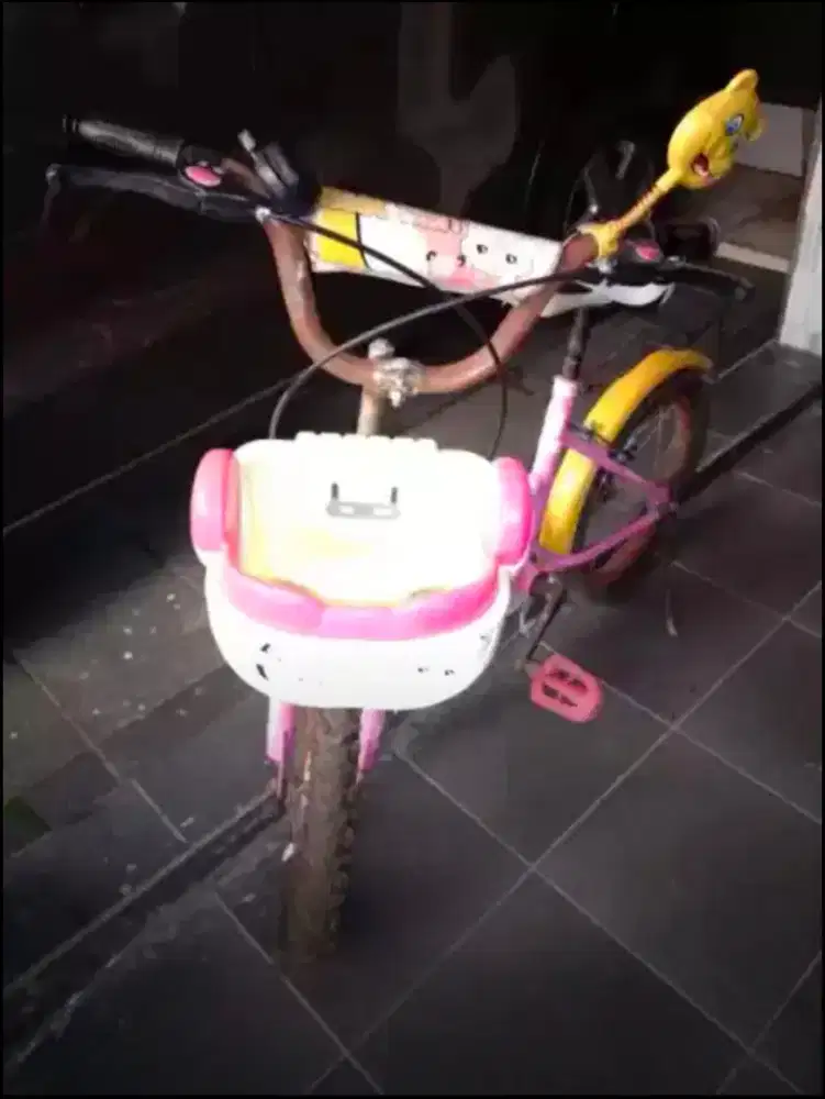 Sepeda Anak Tanggung merk Gen10
