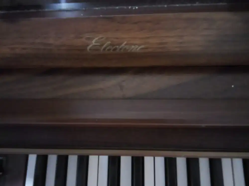 Organ electone cod semarang kota