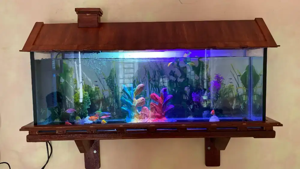 Aquarium Minimalis Dinding