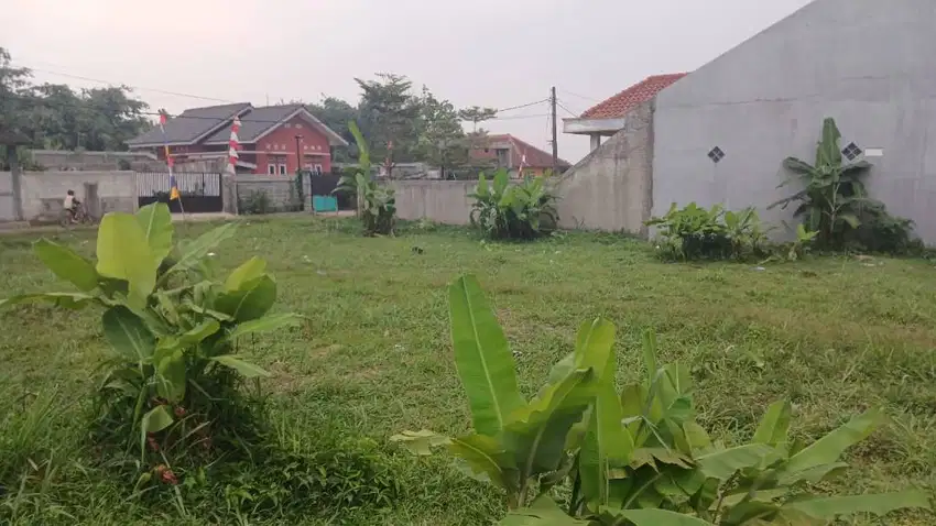 Tanah Murah BU Ciherang dramaga