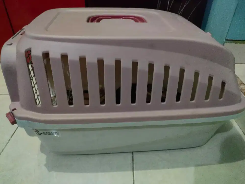 Pet Cargo Kucing