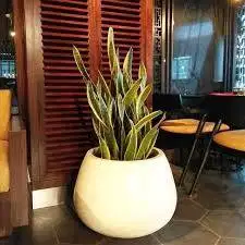 Pot Teraso Tipe Gendang Finising Putih Soft