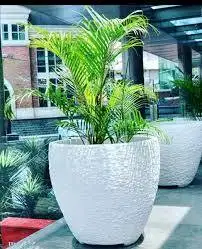 Pot Terrazzo Outdoor cacah