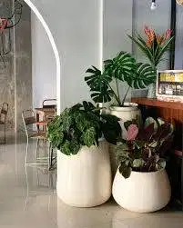 Pot set palm dan vas terazo