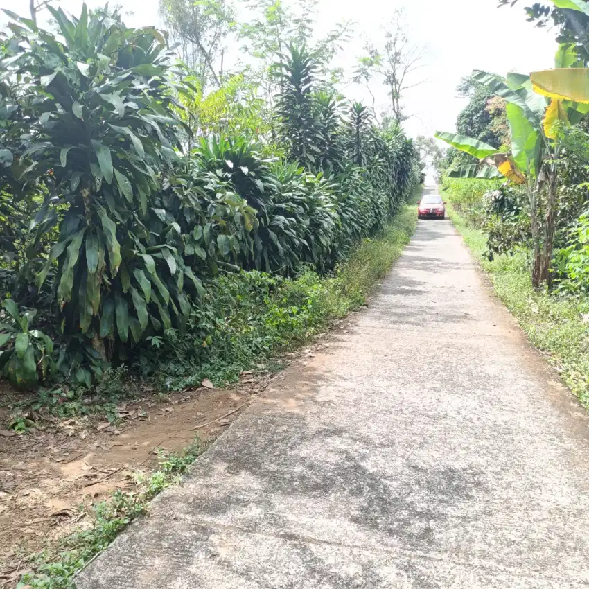 Tanah sangat datar
