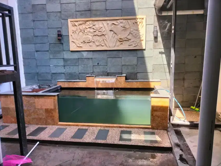 kolam koi ideal