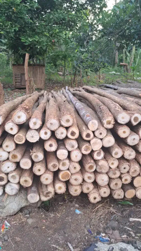 Kayu dolken lokal pk diameter 5/7 panjang 4m