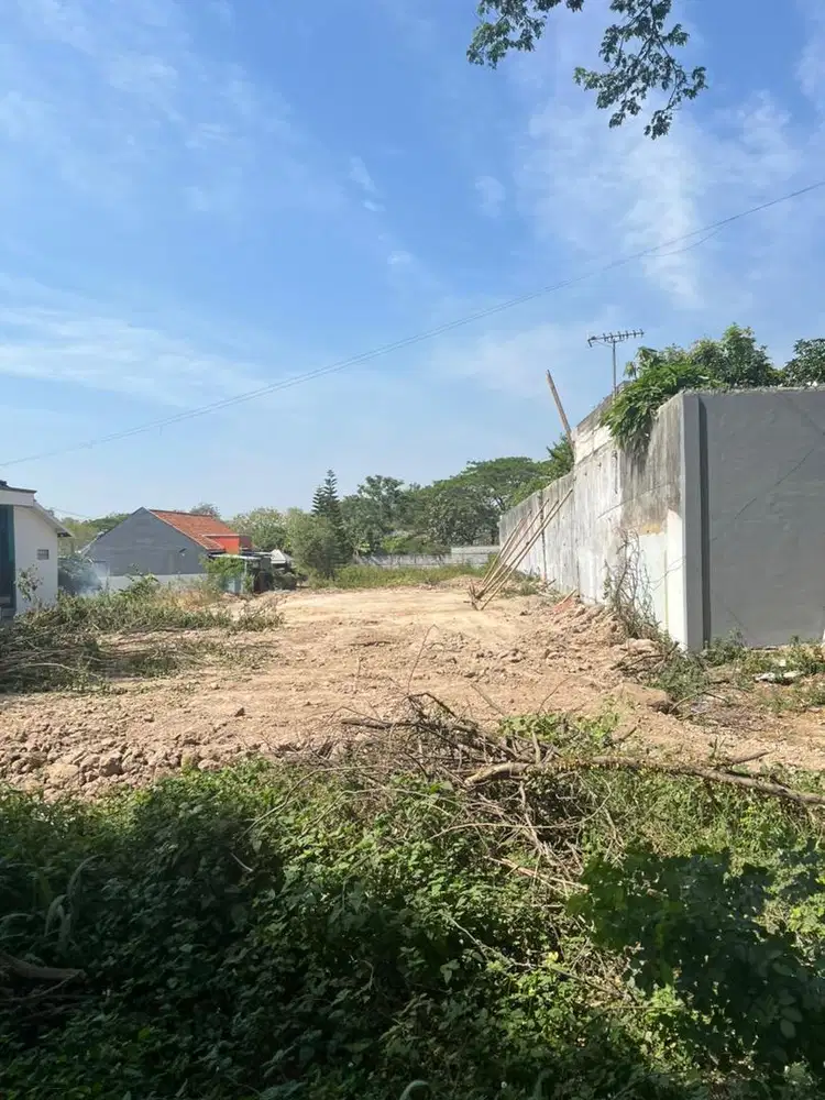 Disewakan tanah strategis dekat kampus UMK