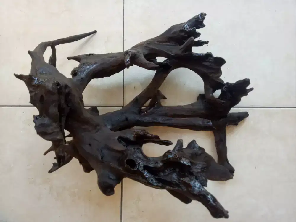 Kayu rentek tenggelam