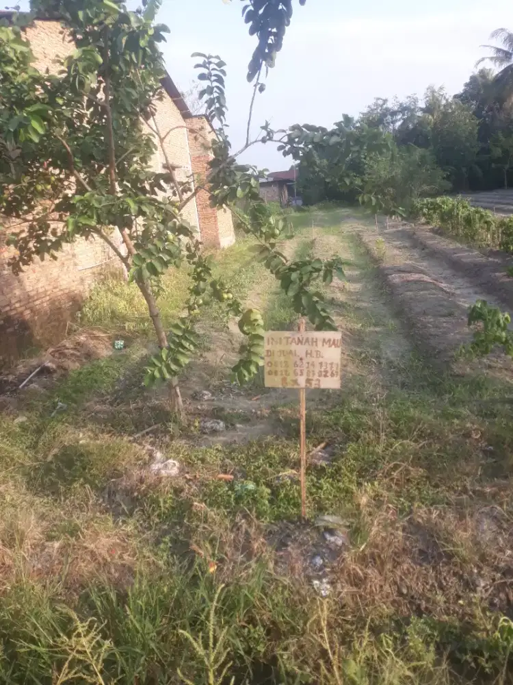 Dijual sebidang tanah