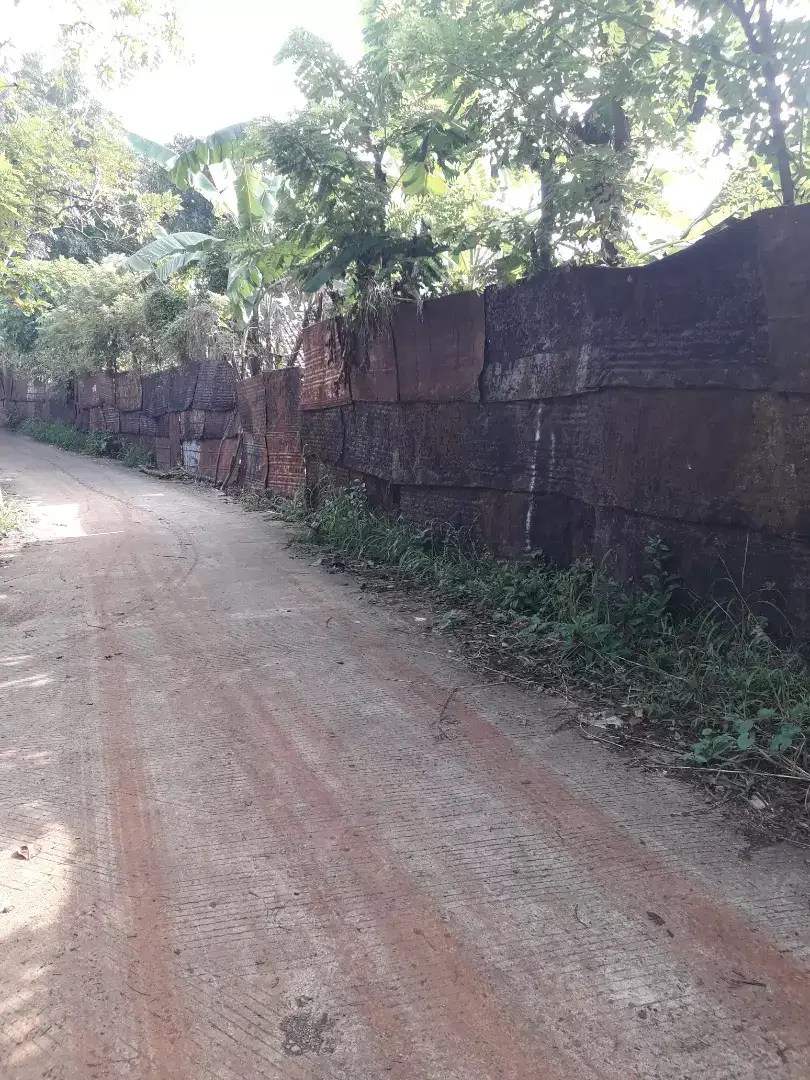 JUAL TANAH  BISA  BUAT PERUMAHAN  DAN  TERNAK