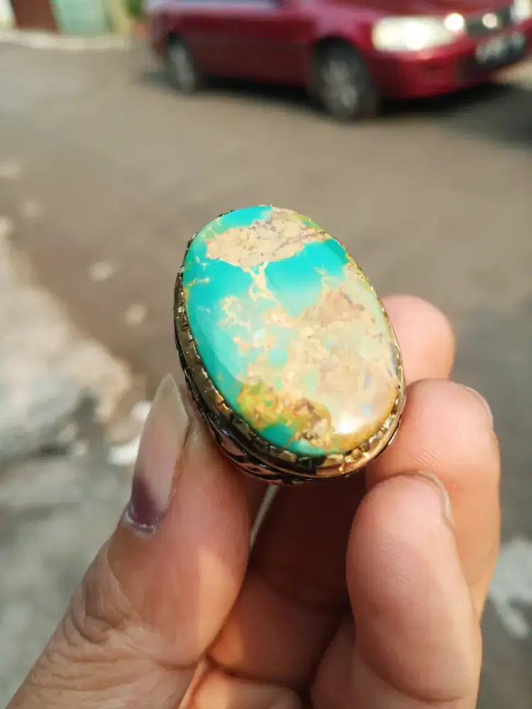 Pirus persi biru gradasi urat emas