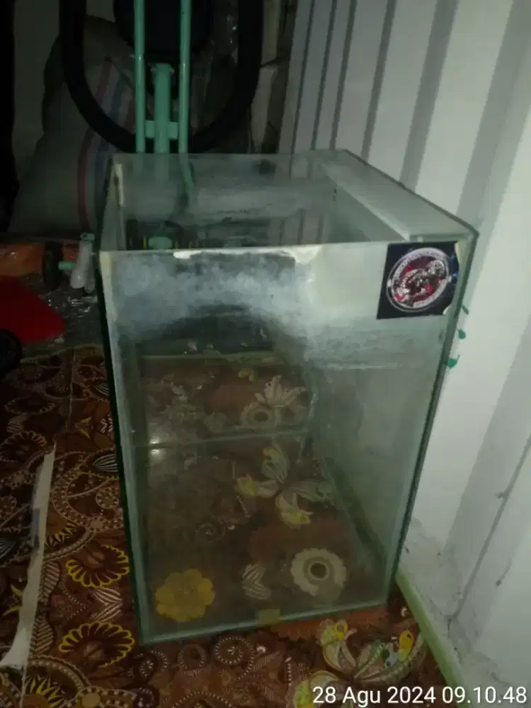Aquarium sedang jual cepat