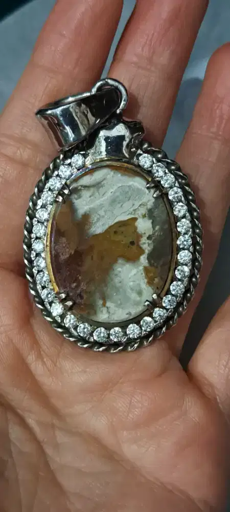 Jasper anak kucing dan lelaki