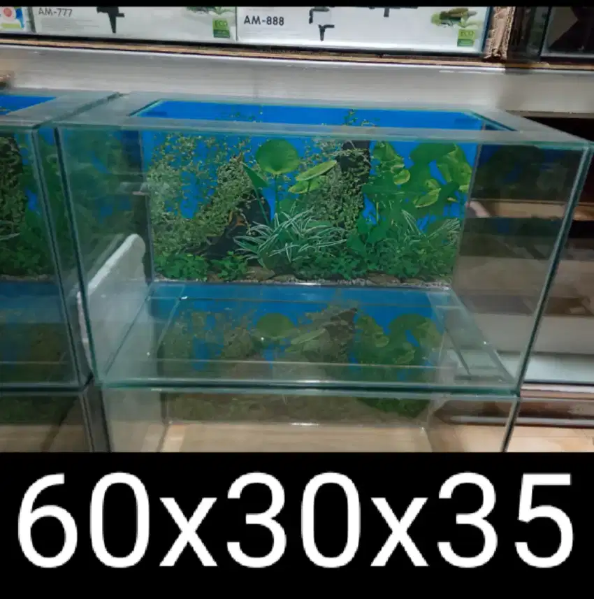 Aquarium 60*30*35 baru