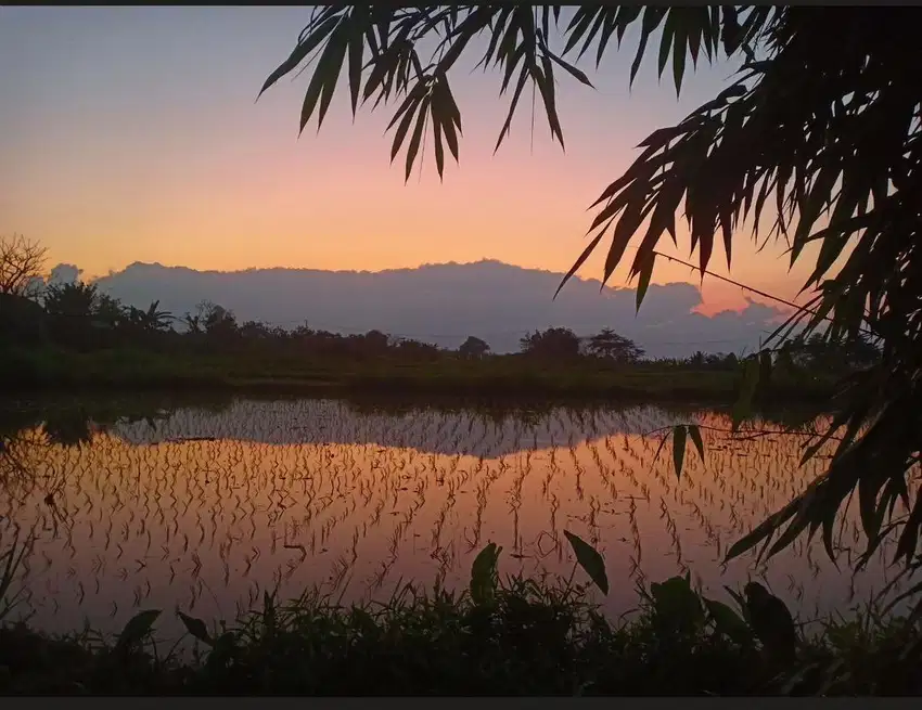 Tanah Klotok Klungkung