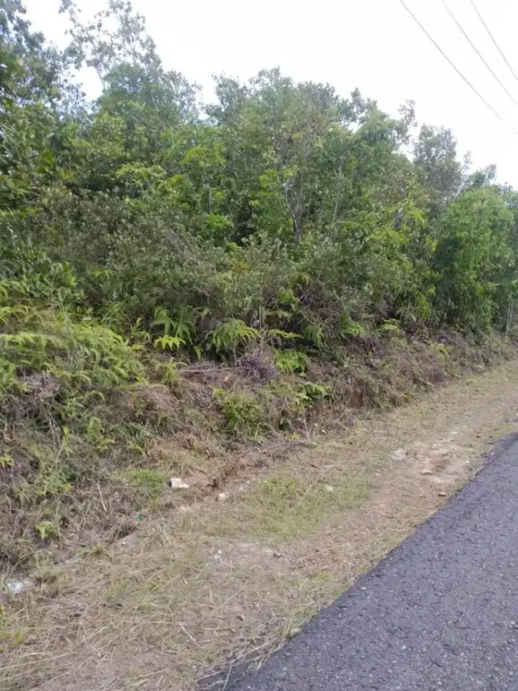 Dijual Tanah Luas 19.940 m2 (BU) pinggir jalan, harga nego sampai jadi