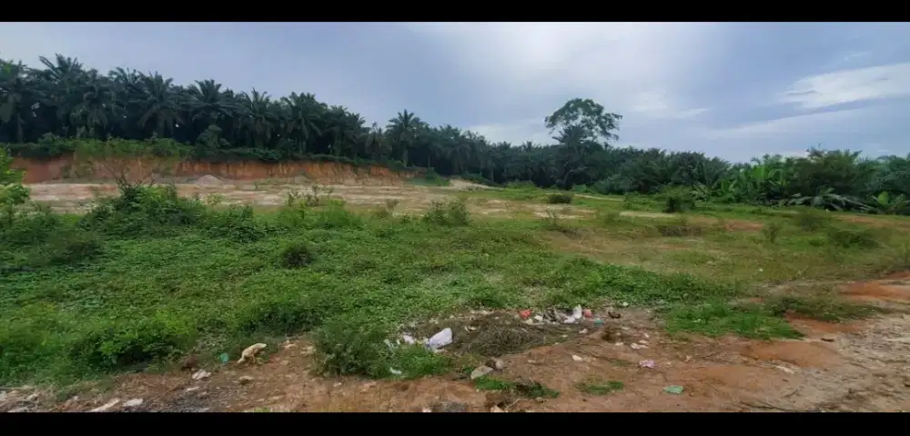 Jual Cepat Tanah luas 23.790 m2 Ds Pertumbuhan Kec Galang Deli Serdang