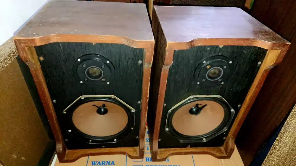 Speaker Philips 8 inch 2way