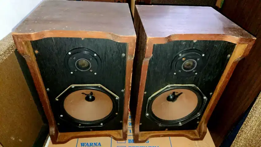 Speaker Philips 8 inch 2way