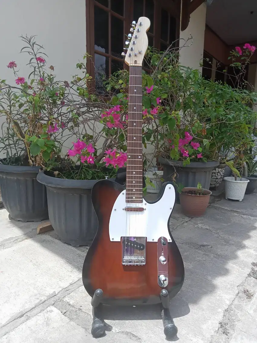 Gitar Model Telecaster Player