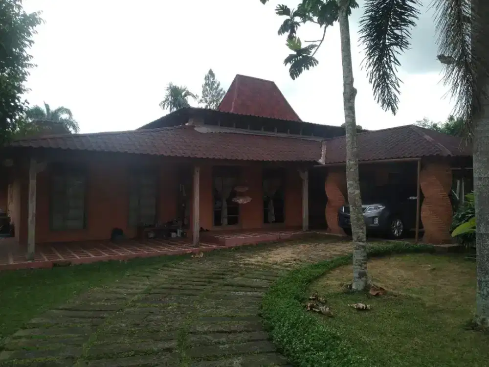 Jual rumah yogyakarta cocok usaha  hotel homestay