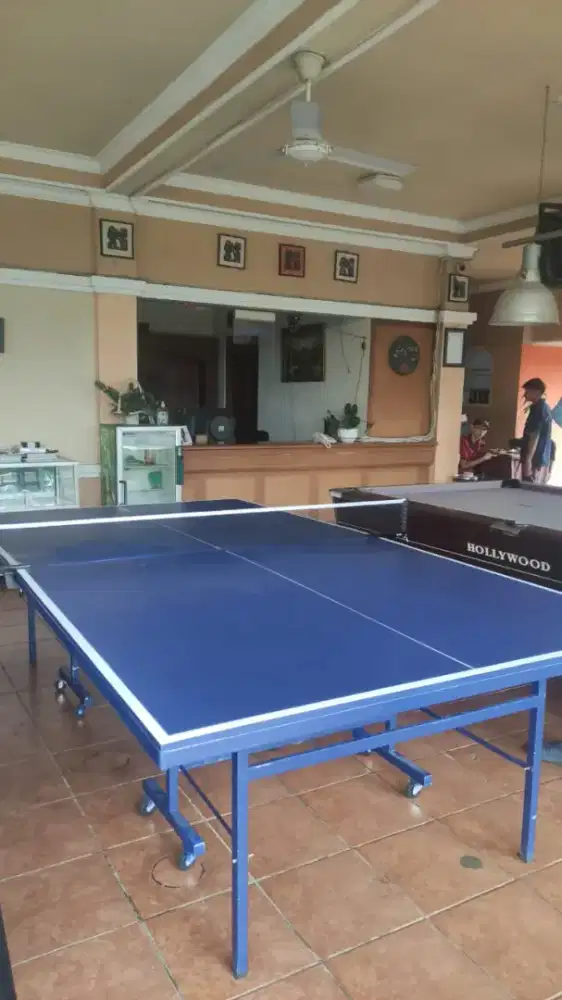 Meja pimpong / tenis meja butterfly