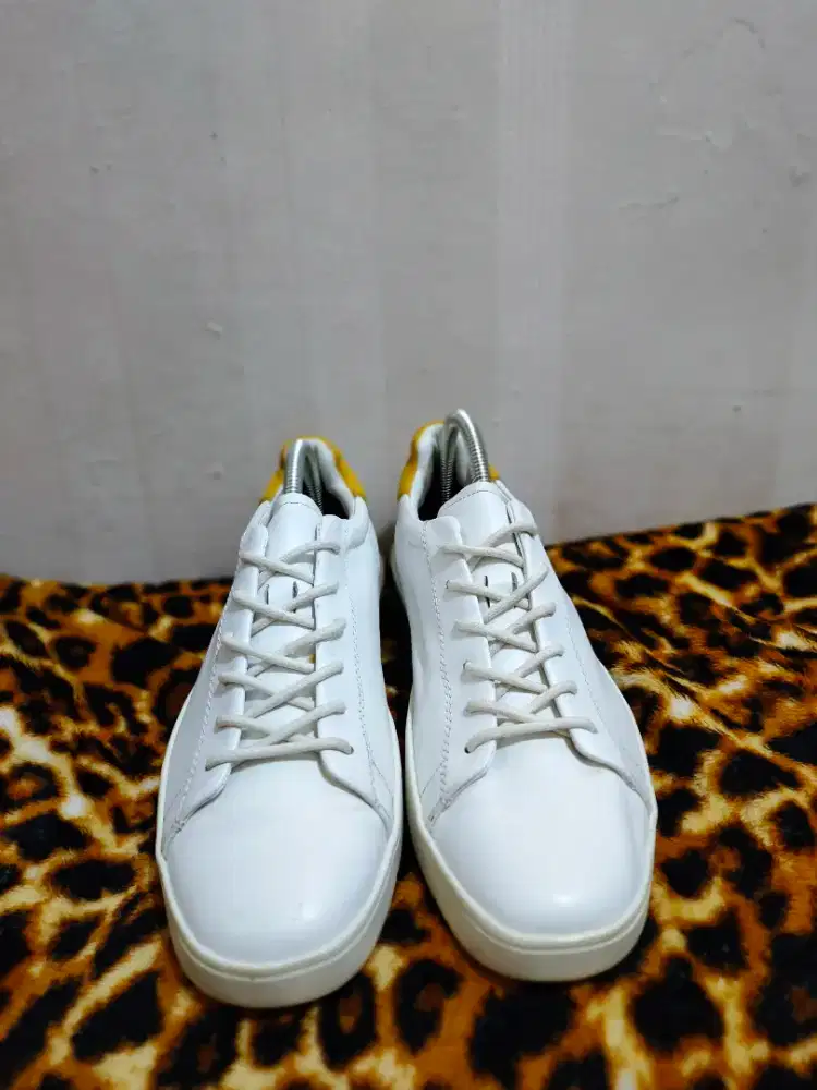 Calvin klien platinum