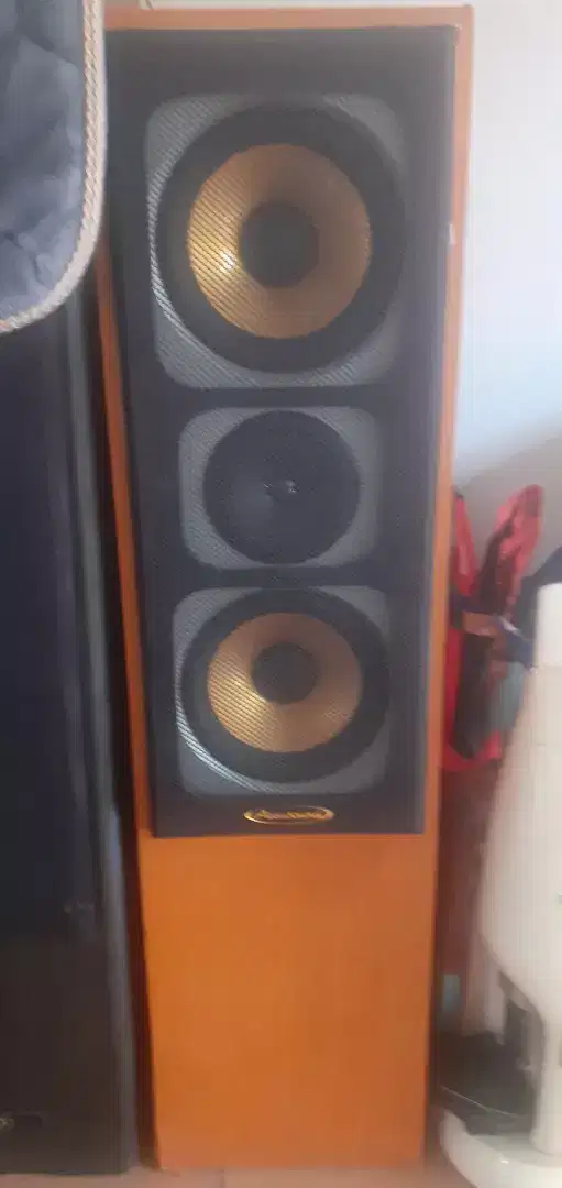 Speaker Accusound