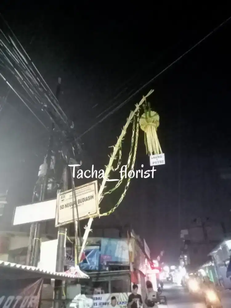 Janur kuning satu set