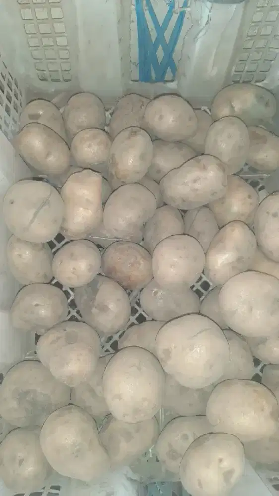 Suplier pesan antar sayur, bumbu dapur, daging ayam, ikan, dll