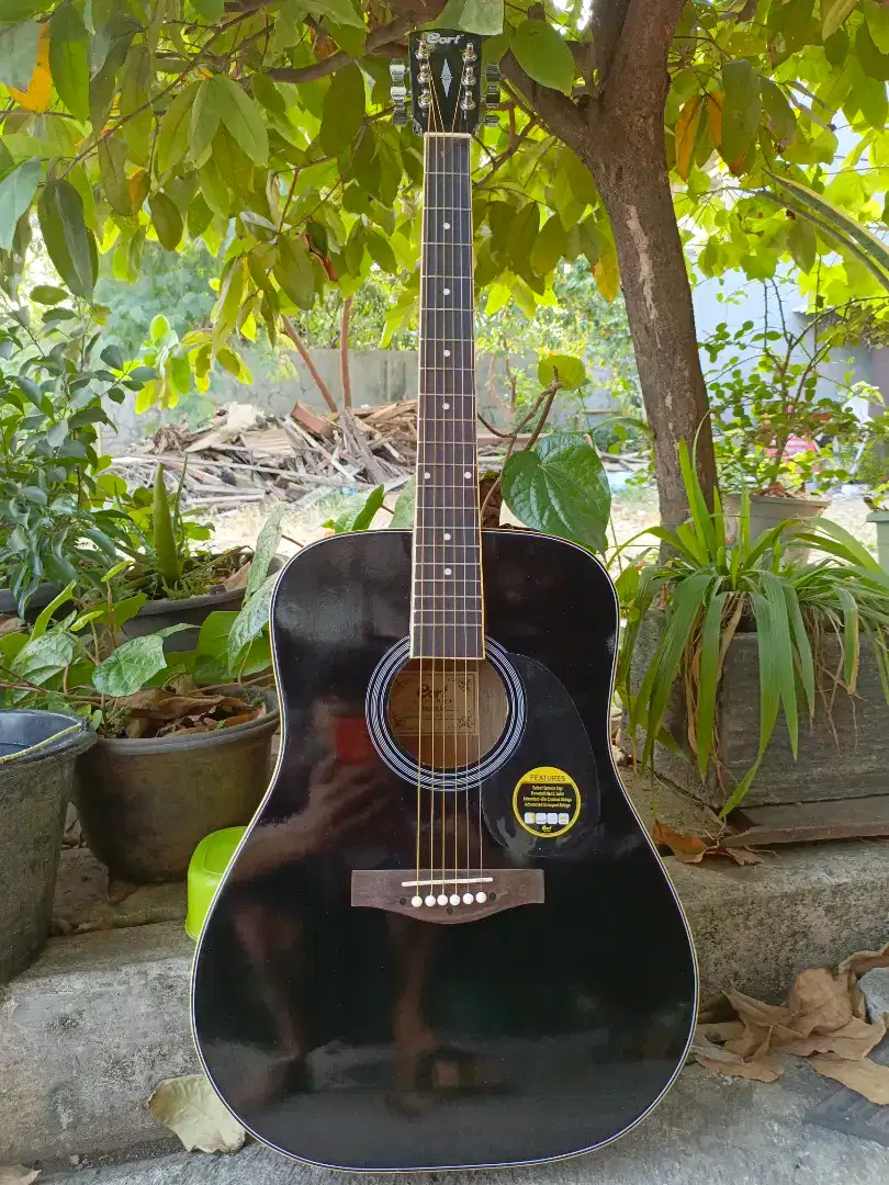 Gitar Akustik Premium Jumbo Cort Ad810 Hitam