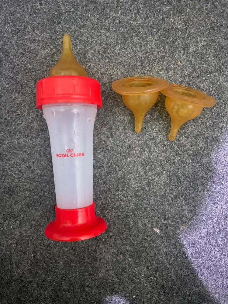 Botol dot bayi kucing ROYAL CANIN