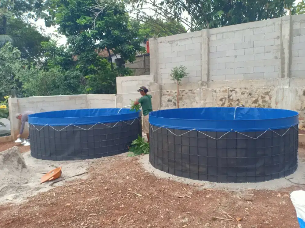 Kolam Terpal Bundar Bioflok Orchid Asli