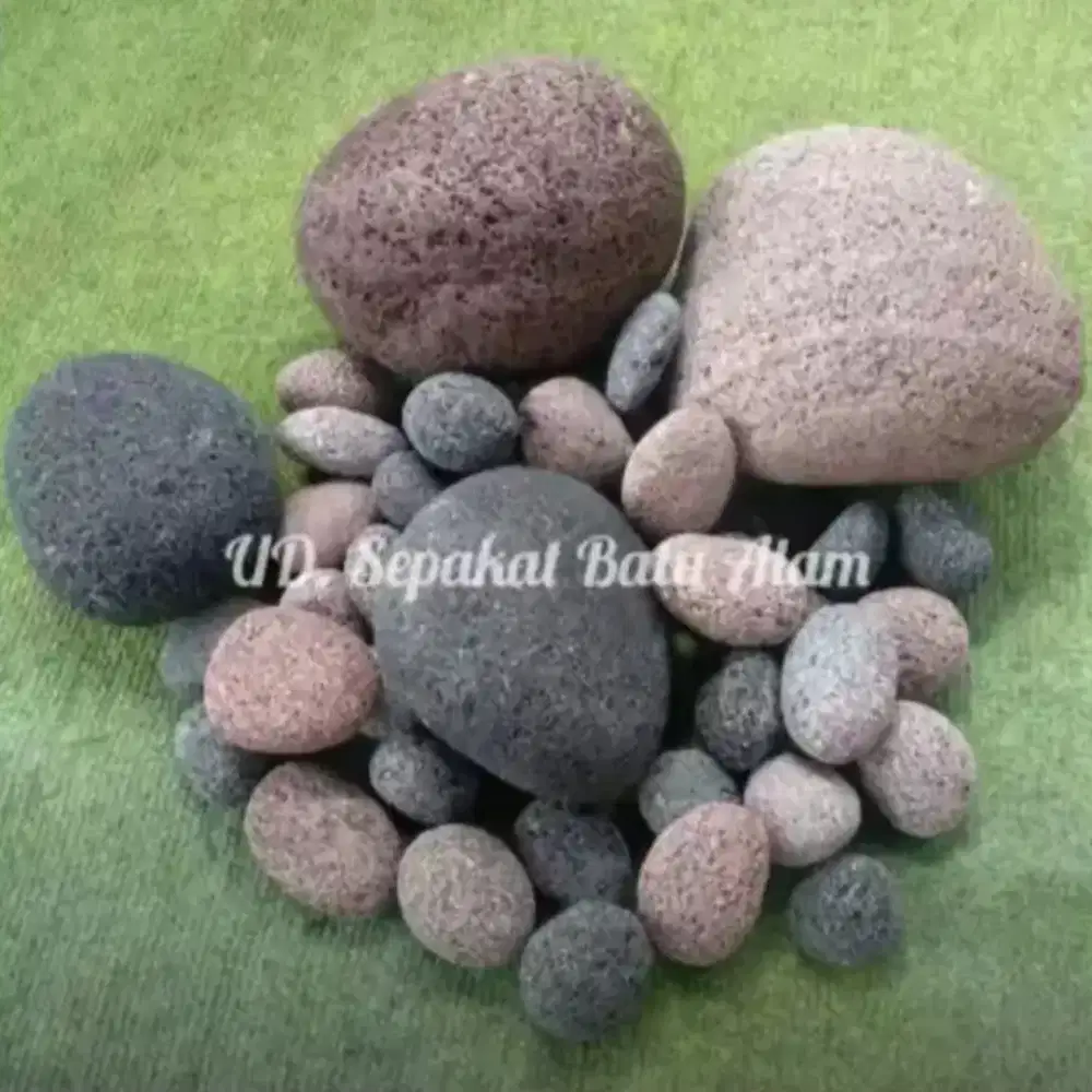 Blondos Laut Hitam Merah