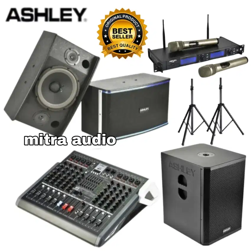 Paket karaoke sound system speaker Ashley 10 inch super komplit