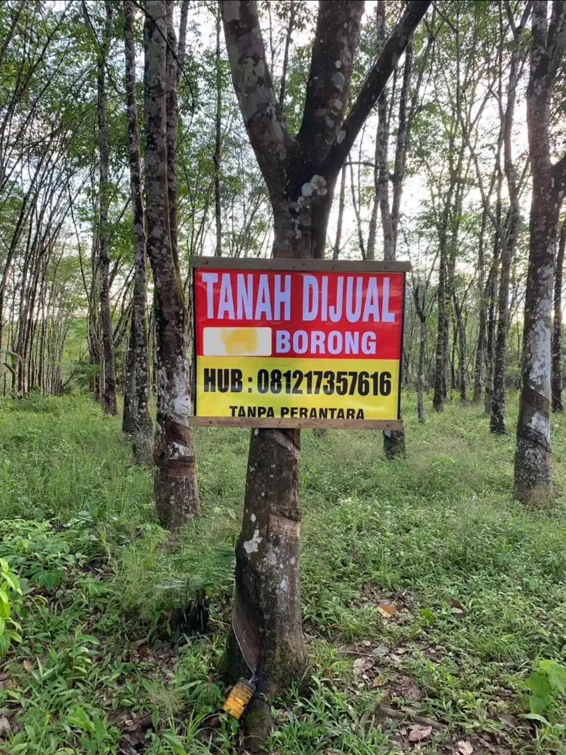 Dijual tanah samping Mess AGM ( Antang Gunung Meratus) Kandangan