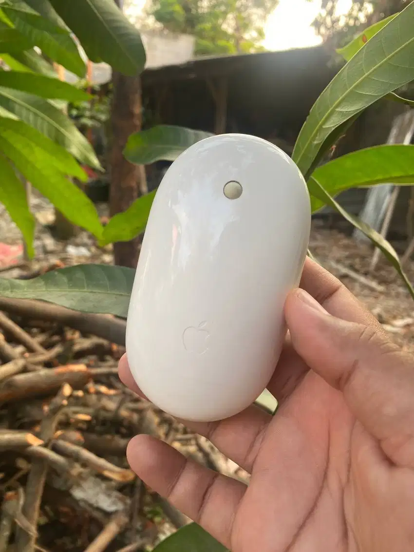 Apple Wireless Mighty Mouse