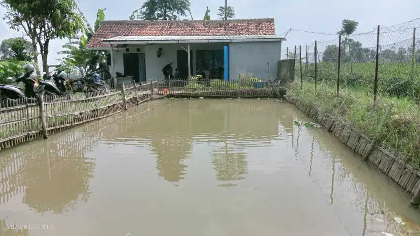 Jual cepat rumah dan kolam ikan pinggir jalan murah