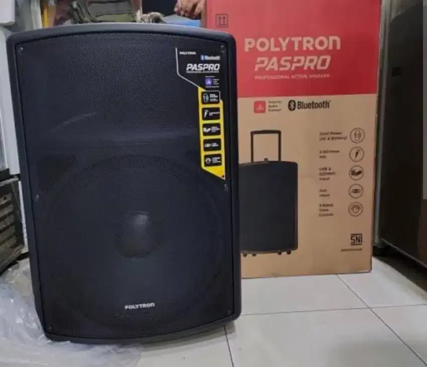 Speaker Polytron 15 inch Paspro15F3 include 2 mic