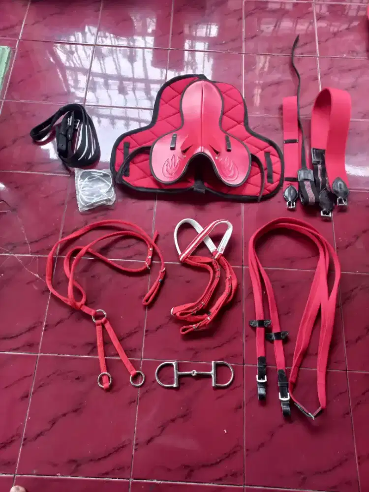 Olahraga Berkuda pelana pacu komplit kuda pacu