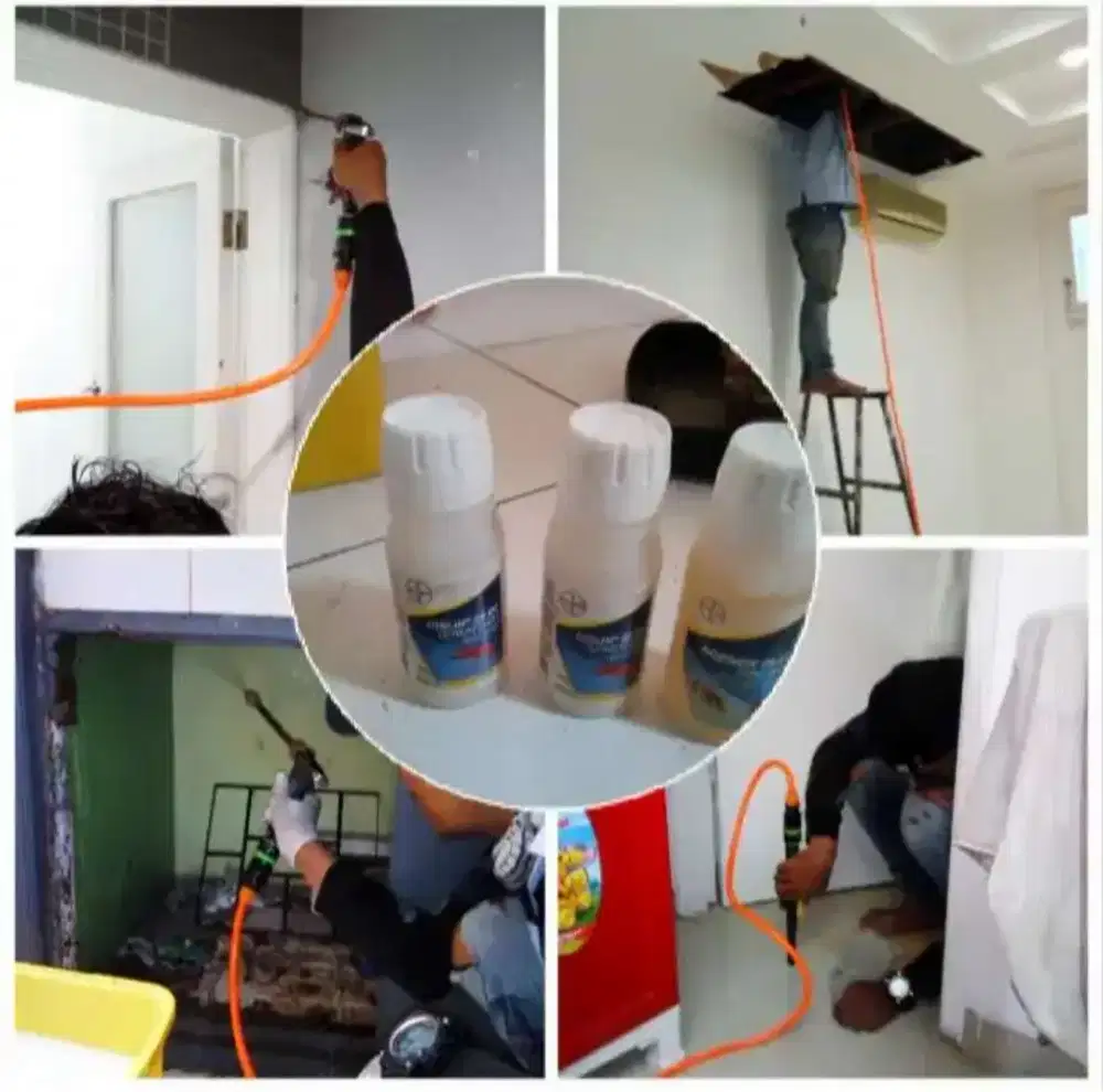 Jasa Anti Rayap Jabodetabek