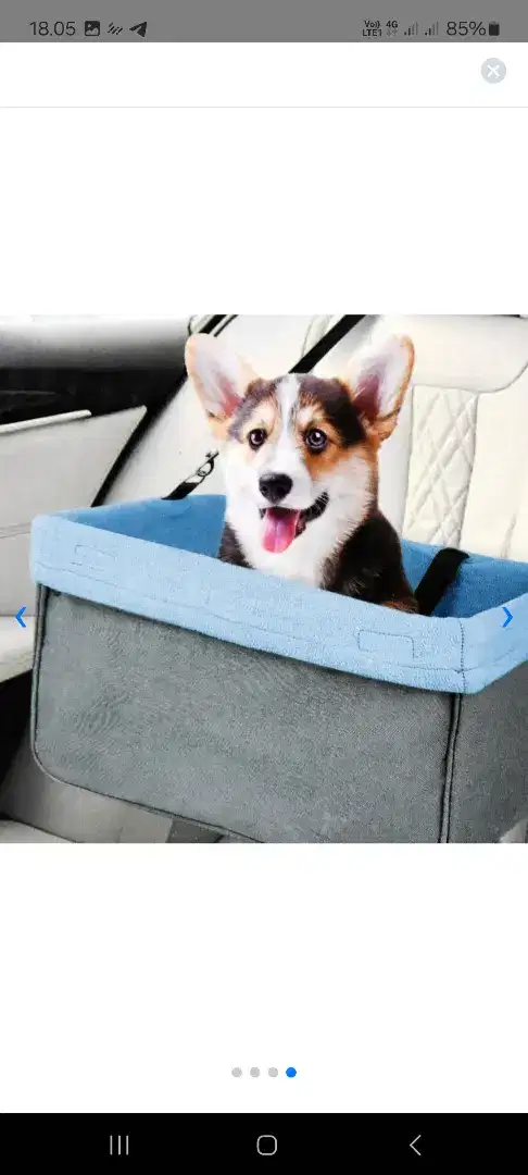 Tempat duduk hewan mobil anjing kucing (new)